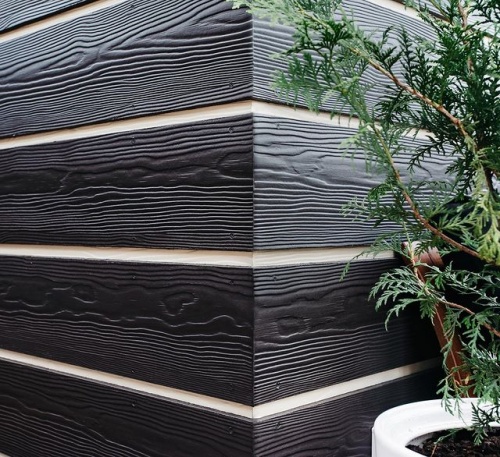 Сайдинг CEDRAL wood (под дерево) С05